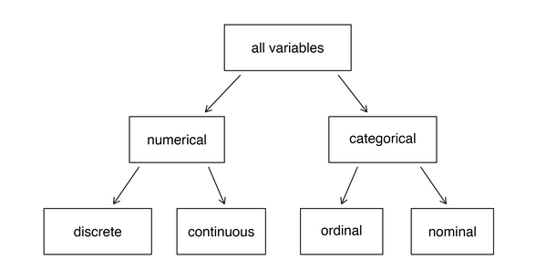 Tipos de variables